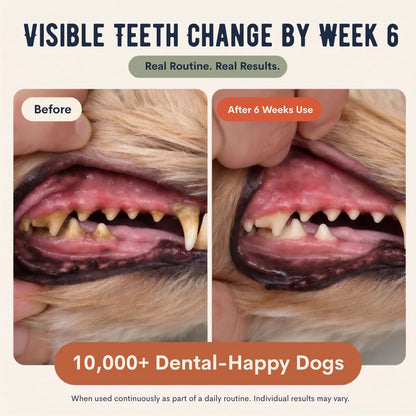 Super Dental+ Pulver