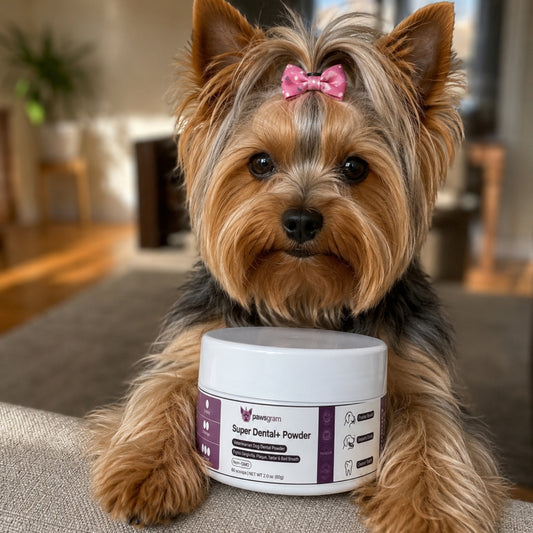Super Dental+ Powder