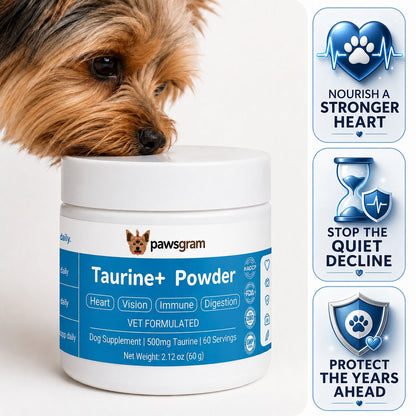 Taurine+ Powder