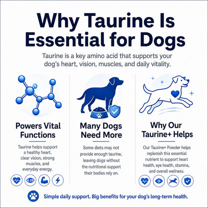 Taurine+ Powder