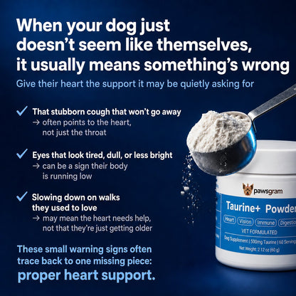 Taurine+ Powder