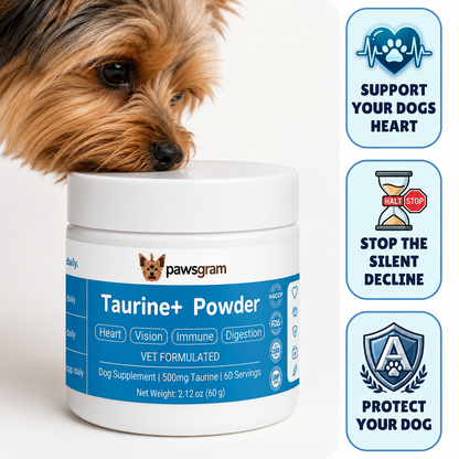 Taurine+ Powder