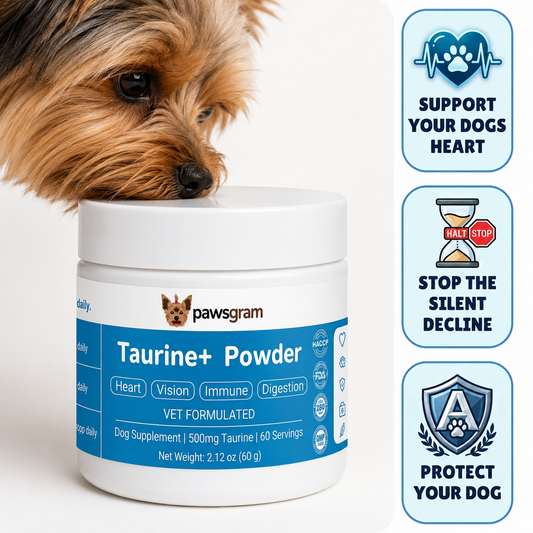 Taurine+ Powder